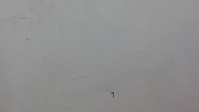 JackSwan18's Live XXX Chat