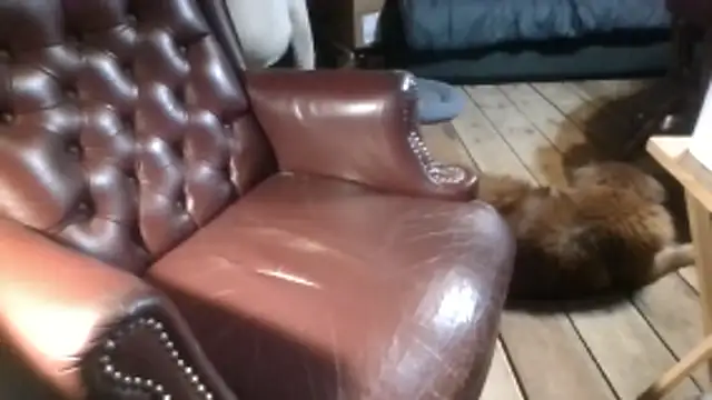 Онлайн чат XXX subballsboy