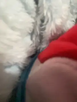 Czat XXX na żywo – Abby-LS