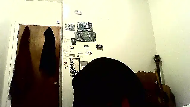 Show webcam de NicPolaris