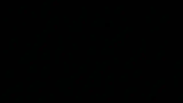 NahimiThompson Live XXX-chat