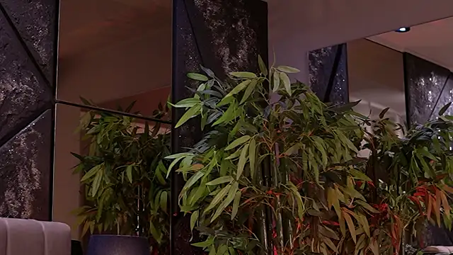 NicoleCellini 现场XXX聊天