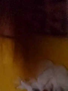 Congee-666のライブXXXチャット