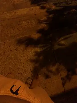 frecho-24n Webbikameraesitys