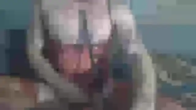 Chat +18 de chceciedalsiebie ao vivo