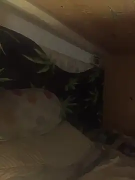 bugboy's Webcam Show