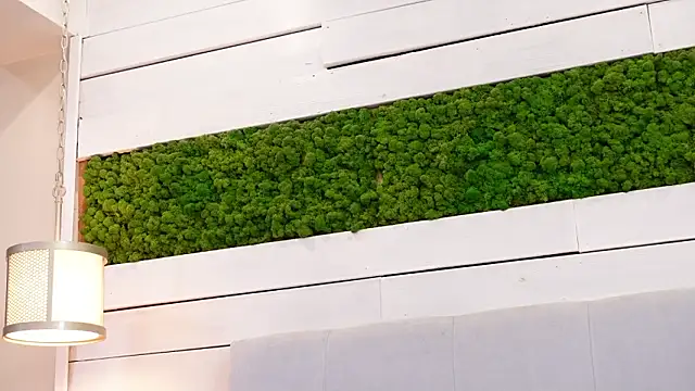 IsabellaMysty 现场XXX聊天