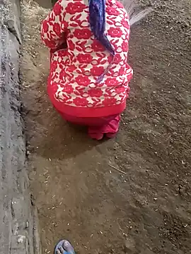 Show de NextGenModel na webcam