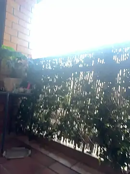 Gayginger86 Webcam show