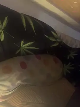 โชว์เว็บแคมของ bugboy