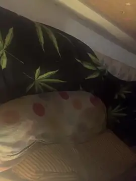 bugboy's Webcam Show