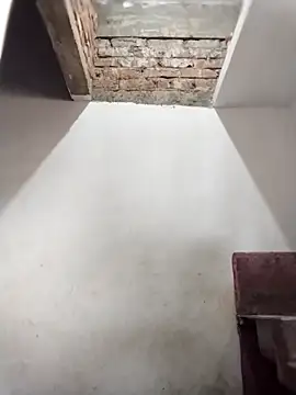 Fast_lady Webcamshow