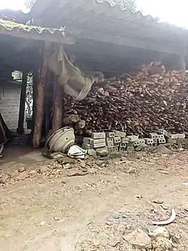 Chat XXX en directo de ngan-cute