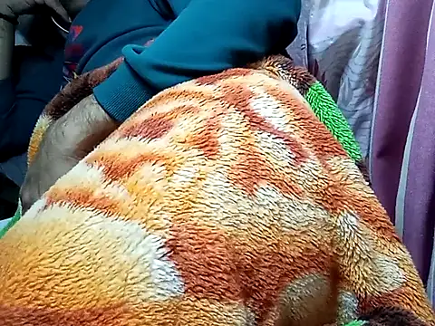 Czat XXX na żywo – Expresshorse