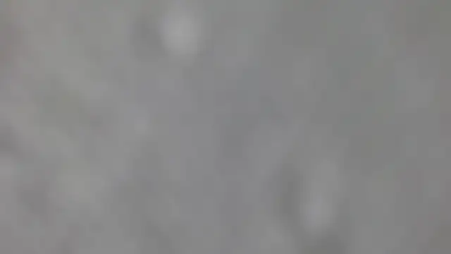 Axel_fox77 – Live XXX-chat