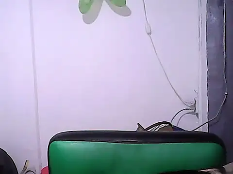 Show de BigDickTrans na webcam