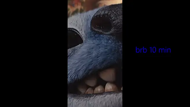 Chat XXX ao vivo de vinkitinkii