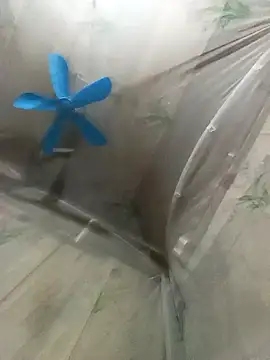 kotaka-shoow – Live XXX-chat