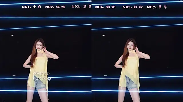 YB-001 网络视讯表演