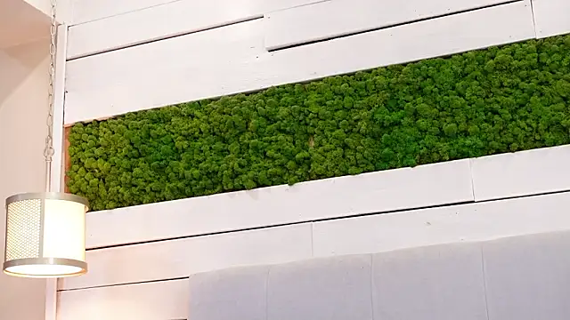 IsabellaMysty: онлайн-секс-чат