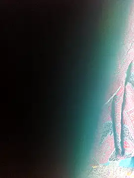 Villageanutyのウェブカメラショー