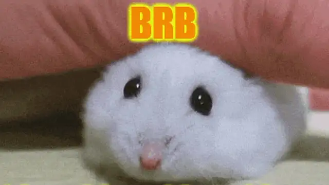 عرض كام Lolly_Fly