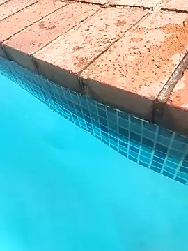 CassA-Nova 即時 XXX 聊天