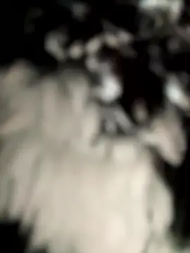 daaqnn Chat XXX live