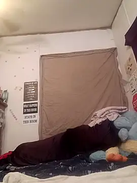 snowbird1117 élő XXX-chatje