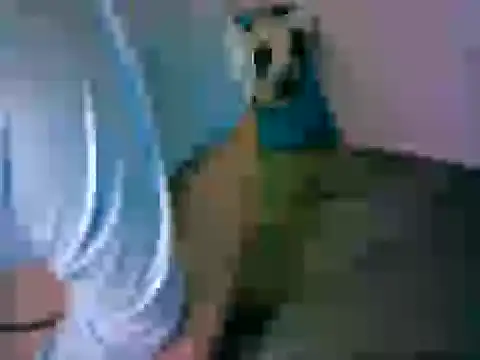 Webkamerová show aiden_dwayne