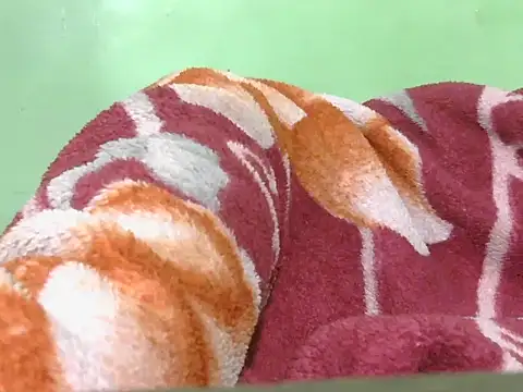 Indian_slimguyhot-16 Live XXX Chat