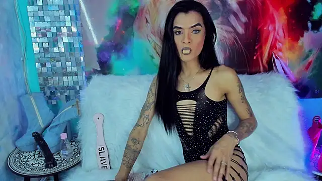 ZAMMIRAn Webbikameraesitys