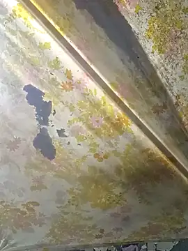 Czat XXX na żywo – Cogelonregio