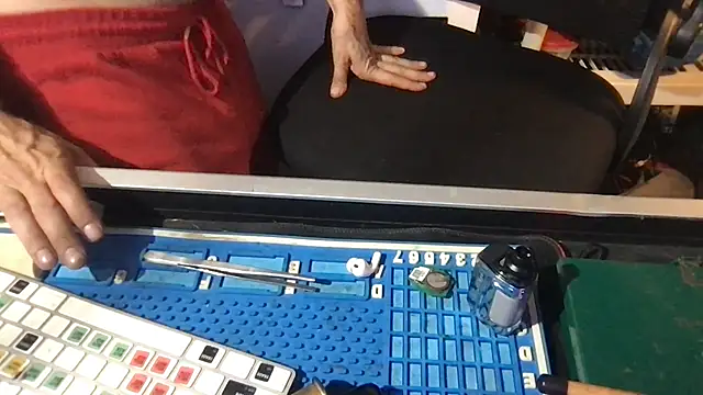 Czat XXX na żywo – SinlessFreedom7