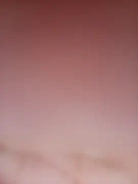 Rose-222n Live XXX chat