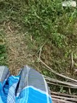 แชท XXX สดของ dolphiinn