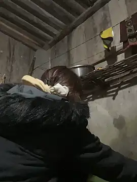 Chatroom XXX en direct de meganmeo