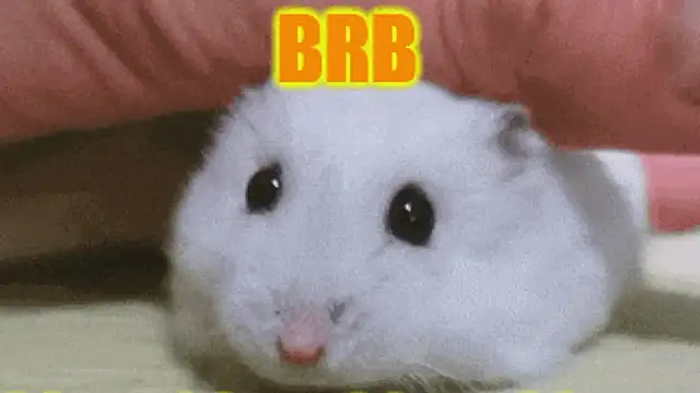 Lolly_Fly's Live XXX Chat