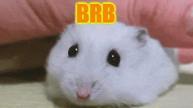 Lolly_Fly Live XXX-chat