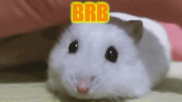 Lolly_Fly's Live XXX Chat