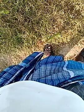 dolphiinn Show in webcam