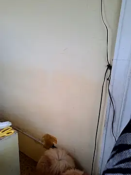 Živý XXX chat sweetieme