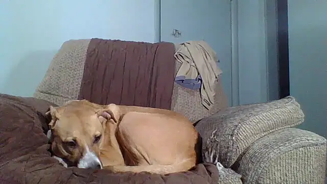 Онлайн чат XXX Jbsklxz67