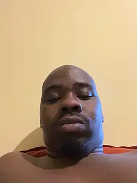 solodrive 웹캠 쇼