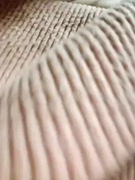 Chat +18 de nhinhi-sexy ao vivo