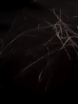 Missy_DM 라이브 XXX 채팅