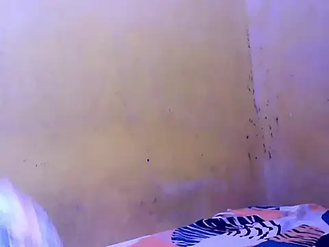 Chat +18 de SweetMoonlight ao vivo