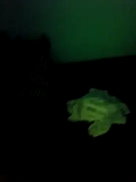 VillageanutyのライブXXXチャット