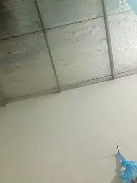 Sana-vn élő XXX-chatje