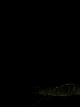 عرض كام Villageanuty